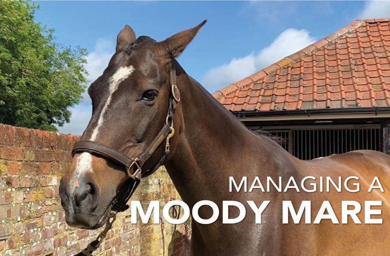 Managing a Moody Mare